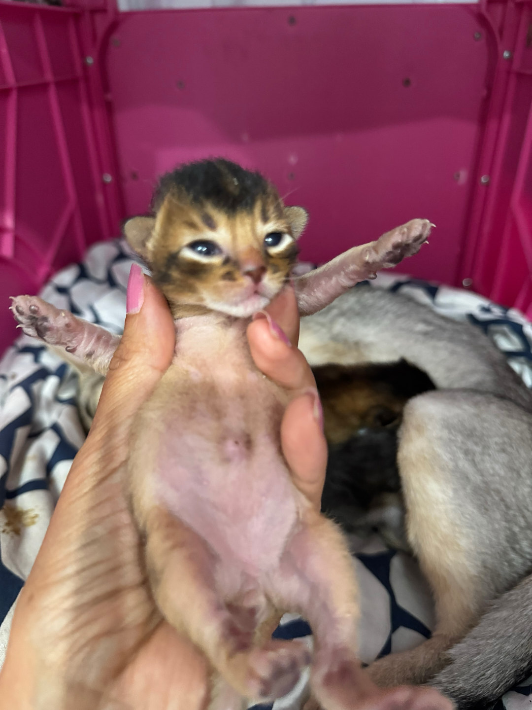 Crafting Captivating Headlines: Your awesome post title goes here Crafting Captivating Headlines: Your awesome post title goes here