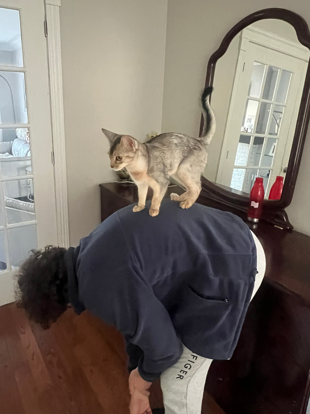 The Art of Drawing Readers In: Your attractive post title goes here The Art of Drawing Readers In: Your attractive post title goes here