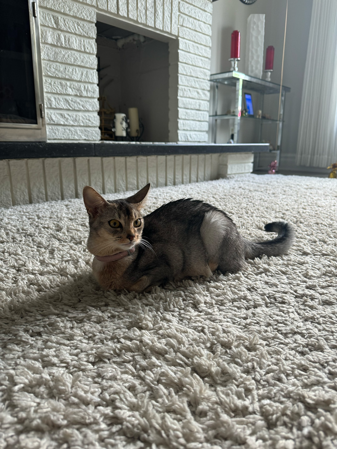 Mastering the First Impression: Your intriguing post title goes here IMG 9630 1