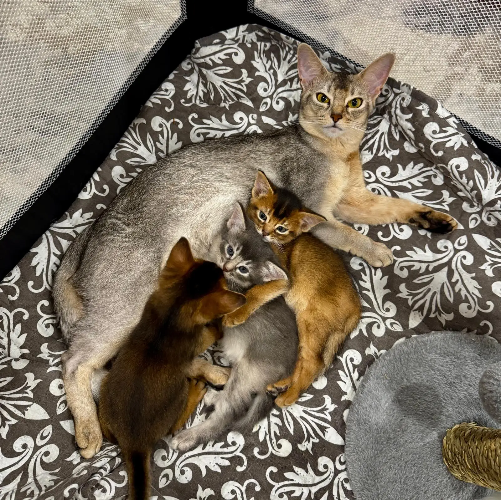 whatsapp image 2025 08 21 at 18.00.43