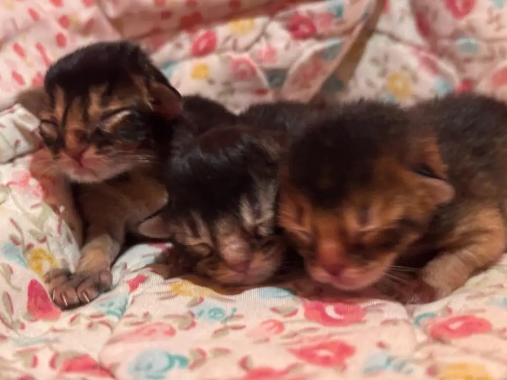 f3f64c59 07f9 412d 8172 4e88b94bbeca